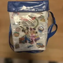 ディズニー ポップコーンケース バケーションパッケージ