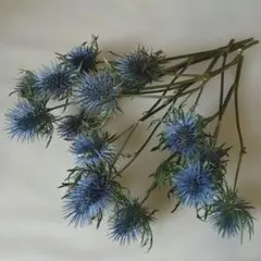エリンジウム　マグネーター　ドライフラワー　花材　スワッグ　リース　インテリア