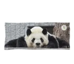 ゆうちゃん様専用