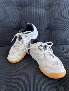 Item thumbnail for item 83dc7f8b-5406-4e45-8a6f-068b8035100a