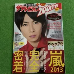 ザ テレビジョンzoom!! vol.11 2013年