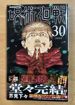呪術廻戦 30