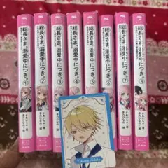 「総長さま、溺愛中につき。」1巻から8巻セット