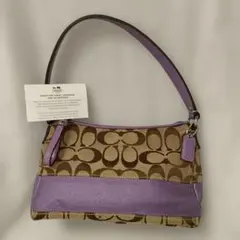 COACH コーチ ワンショルダーバッグ アクセサリーポーチ パープル y2k