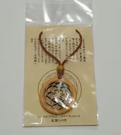 Item thumbnail for item ff92bfe1-5585-4d30-9bd0-7691c12ec9c7