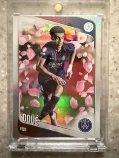 DB ICE FIFA 2011 World Cup LEMKE 67981 - メルカリ
