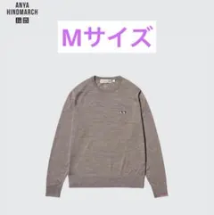 ユニクロUNIQLOアニヤハインドマーチ　メリノクルーネック　 M アニヤ