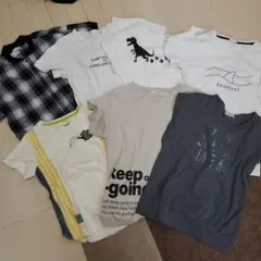 branshes ブランシェス　半袖150cm 6点　+140cm1点