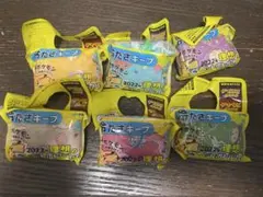ポケモン ペットボトルカバー 2022全種セット