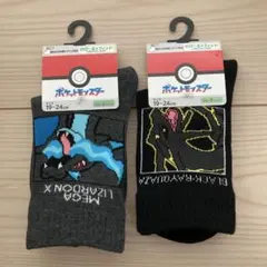 ポケモン　クルー丈　ソックス　2足セット　19〜24㎝