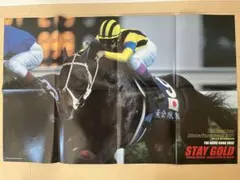 ステイゴールド エイシンプレストン 両面ポスター サラブレ 競馬