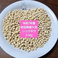 秋田県産リュウホウ 新大豆 3キロ - メルカリ
