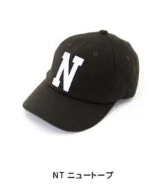 THE NORTH FACE ザ・ノース・フェイス TNFロゴフランネルキャップ