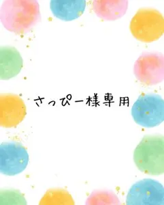 専用ページ(さっぴー様)