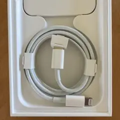 Apple USB-C to Lightning ケーブル