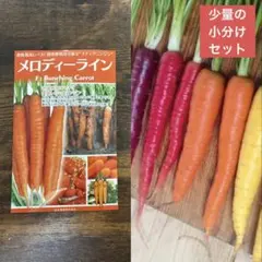 つむぎ様 リクエスト 2点 まとめ商品