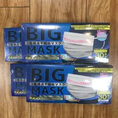 Item thumbnail for item efbe5536-062f-4d53-879f-f59926bd96e3