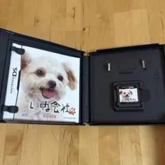 いぬ会社DS レア 希少