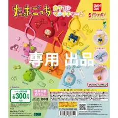 専用 たまごっち カラフルマルチチャーム