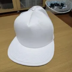 Item thumbnail for item c1c5280b-2e8f-47af-bef0-fb7bc5d20f01