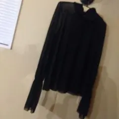 ZARA TRF ブラック 長袖トップス 黒レース 透け　シースルー