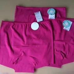 トリンプ スロギー ナチュラルヒップ　一分丈ショーツL 3枚セット（5940円）