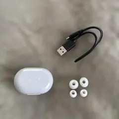 シャンク品　Victor HA-A30T ワイヤレスイヤホン 充電ケース付き