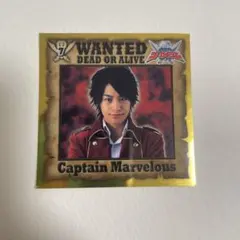限定品】SUPERレプリカパネル 2枚セット スーパーブラックジャック