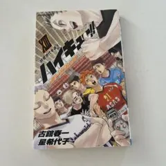 ハイキュー!! ショーセツバン!!3.4.5.10.13