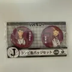 ハイキュー!! コンビ缶バッジセット