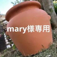 2026年最新】耳付き壺植木鉢の人気アイテム - メルカリ