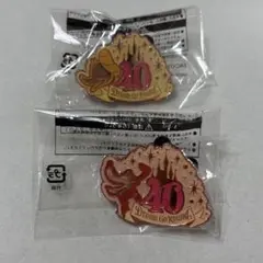 ディズニーランド　ジャングルカーニバル景品　40周年のサムネイル