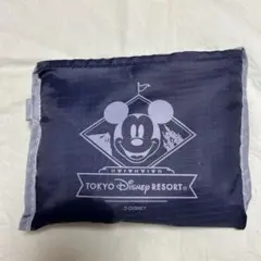 東京ディズニーリゾート トートバッグ