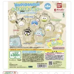 サンリオ　めじるしアクセサリー