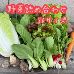 野菜セット 野菜詰め合わせ 80サイズ