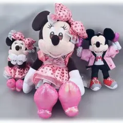 ディズニーストア　MINNIE DAY　ぬいぐるみ　キーチェーン　3点セット