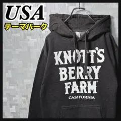 USA施設 パーカー スウェット プルオーバー グレー メンズ USサイズ S