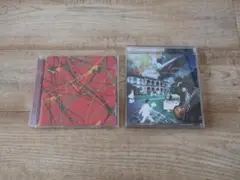 ★人気 サザンオールスターズ アルバム２枚セット Young Love他 ＣＤ