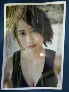 Item thumbnail for item 07342226-d845-460c-857f-94a9e4bf2621