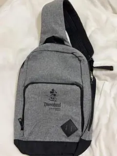 【希少】ディズニーランド カリフォルニア バッグ ミッキーマウス
