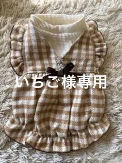 いちご様 リクエスト 2点 まとめ商品