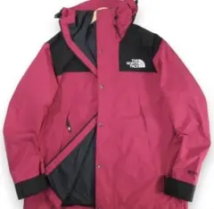 THE NORTH FACE/GTX MOUNTAIN JACKET 7