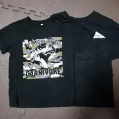 BREEZE 黒 ロンT 他 Tシャツ 130cm 2枚セット