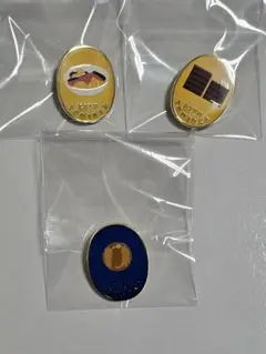鬼滅の刃 冨岡義勇 柱展 柱百景 コレクションピンズ ピンバッジ 炭治郎