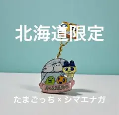 北海道限定 たまごっち ご当地 ぷっクリアキーホルダー シマエナガ 新品