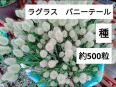 みみこ様 リクエスト 2点 まとめ商品