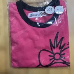 辻ちゃんプロデュース　Saruru