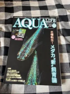 【11/6 12:00までゲリラセール⚡️】 AQUA LIFE 2023年11月