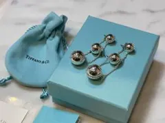 早い者勝ち [美品] Tiffany & Co. ハードウェア ラージ[片耳] - メルカリ