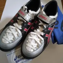 Item thumbnail for item 3b5c8a15-8965-4b2a-87e0-a2f9ce692ff2